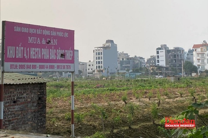 Hà Nội: Giá đất mới tăng mạnh, người dân và doanh nghiệp đối mặt áp lực tài chính lớn